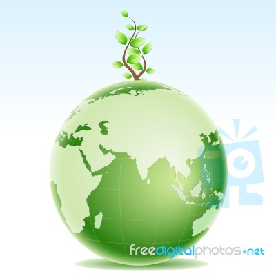 Global Tree Stock Image