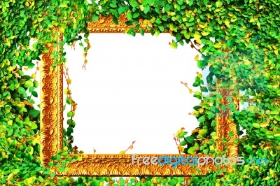 Gold Frame In Leaf Stock Photo