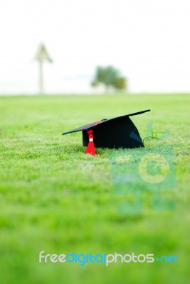 Graduation Hat Stock Photo