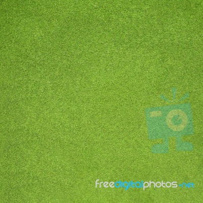 Grass Stock Photo