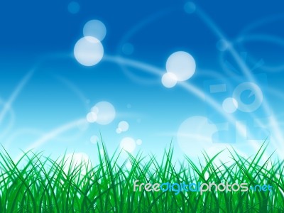 Grass Landscape Shows Light Burst And Bright Stock Image