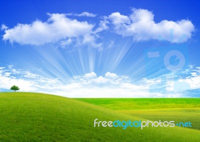 Grass With Blue Sky Stock Photo