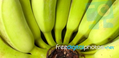 Green Banana Stock Photo