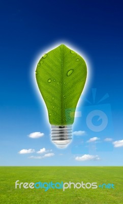 Green Bulb Stock Image