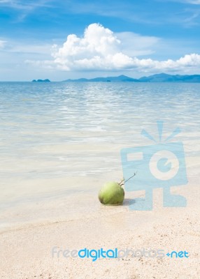Green Coconut Fruit On White Beach Sand Stock Photo