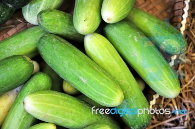Green Cucumber Stock Photo