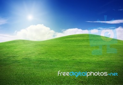 Green Field And Blue Sky  Stock Photo