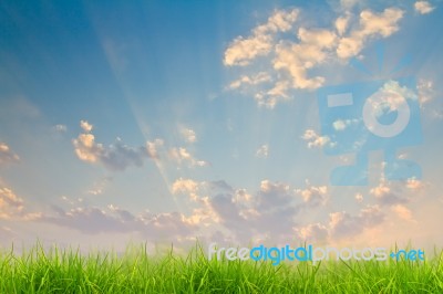 Green Grass And Blue Sky  Stock Photo