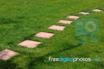 Green Grass Footpath Stock Photo