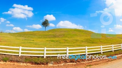 Green Hill Summer Landscape Stock Photo