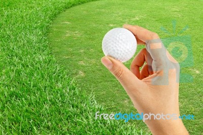 Green Of  Golf Course Stock Photo