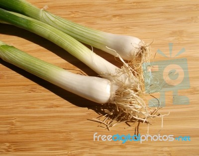 Green Onions Stock Photo