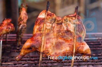 Grilled Chicken Stock Photo