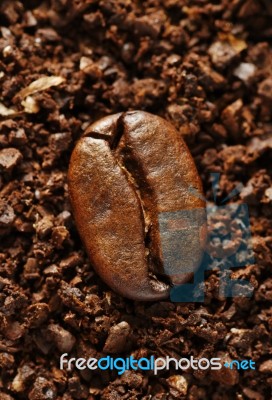 Ground Coffee Bean Stock Photo