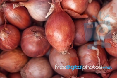 Group Of Onion Closeup Stock Photo