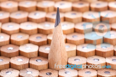 Group Of Pencils Stock Photo