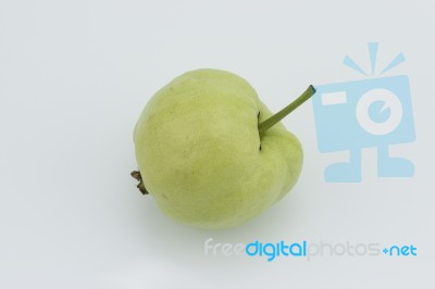 Guava Stock Photo