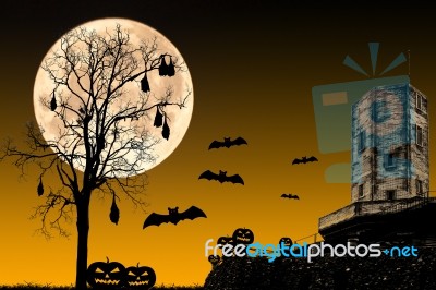 Halloween Night Concept Stock Photo