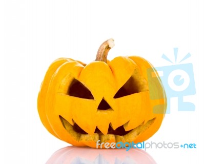 Halloween Pumpkin On White Background Stock Photo
