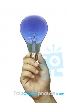 Hand And Bulb Stock Photo