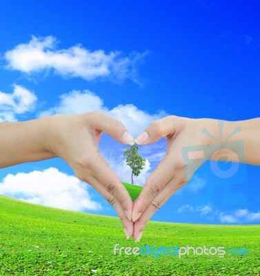 Hand And Nature Concept Stock Photo