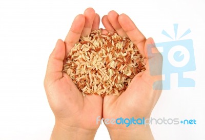 Hand Holding Brown Rice Stock Photo