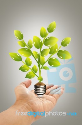 Hand Holding Eco Bulb Stock Image