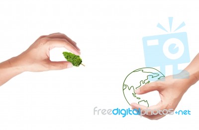 Hand Holding Green Tree Stock Image