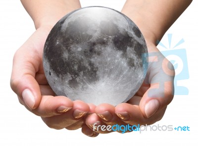 Hand Holding Moon On White Stock Image