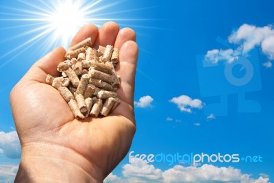 Hand Holding Pellet Stock Photo Hand Holding Pellet Stock Photo