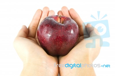 Hand Holding Red Apple Stock Photo