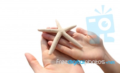 Hand Holding Starfish Stock Photo