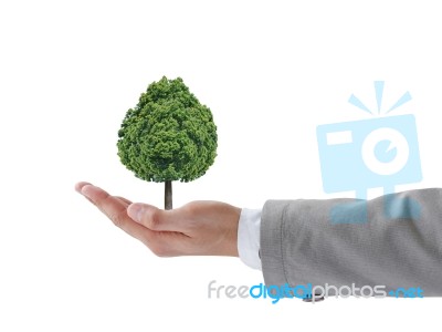 Hand Holding Tree Stock Photo