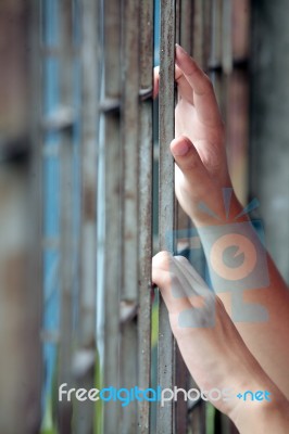 Hand On Cage Stock Photo