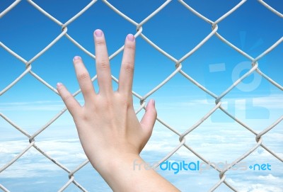 Hand On Chain Link Fence Stock Photo