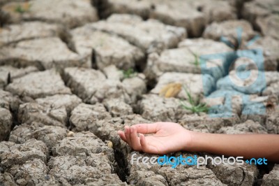 Hand On Dry Land Stock Photo