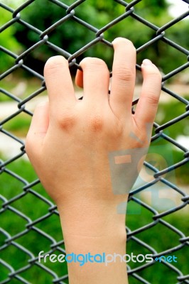 Hand On Wire Fence Stock Photo