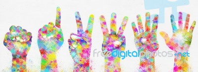Hands Counting One To Five Stock Image