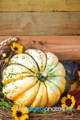 Harvested Pumpkin In A Box With Fall Leaves, Hay And Flowers Stock Photo