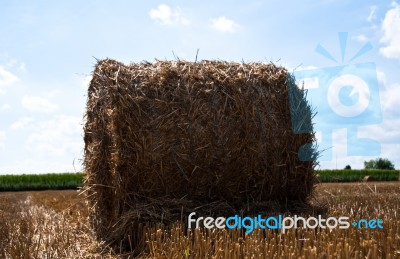 Hay Bale On Freshly Harvested Fields Stock Photo