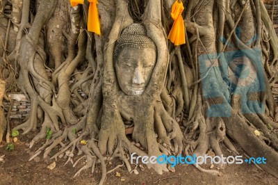Head Of The Sand Stone Buddha Image Stock Photo