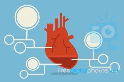 Heart Infographic Stock Image