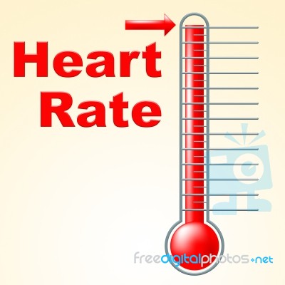 Heart Pulse Shows Degree Healthy And Heartbeat Stock Image