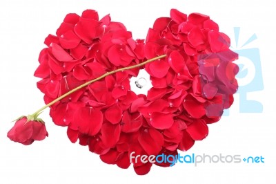 Heart Shape Of Petals With A Ring And A Red Rose Stock Photo