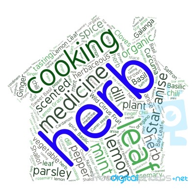 Herb Tag Word Cloud Background Stock Image