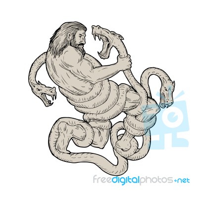 Hercules Fighting  Lernaean Hydra  Drawing Stock Image