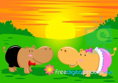 Hippopotamus Animals Stock Image