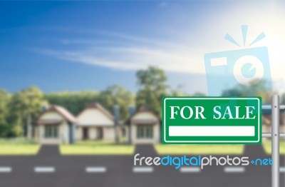 Insurance Insurance