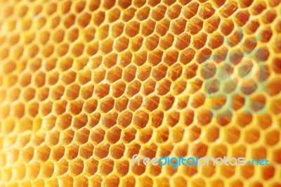 Honey Comb Background Stock Photo