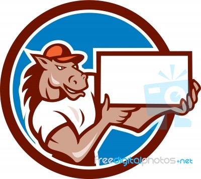 Horse Presenting Blank Sheet Board Circle Cartoon Stock Image
